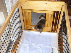 Resize of M2005080902_thumb.jpg